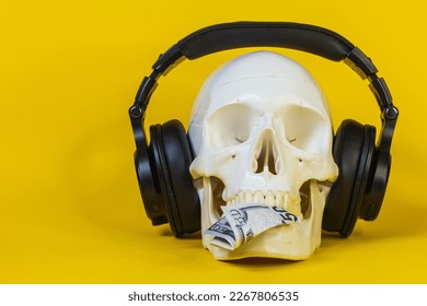 human skull in headphones and money,skeleton bone,headphones for listening music,object,funny,scary,listening to music stands on the surface of yellow background.concept music copyright infringement