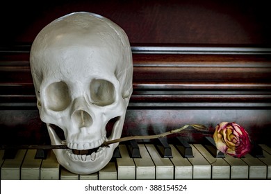 Human skull holding rose between teeth on piano