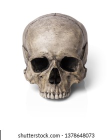 Human Skull, Isolated