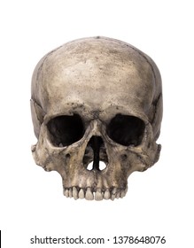 Human skull, isolated - Shutterstock ID 1378648076