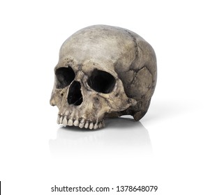 Human skull, isolated