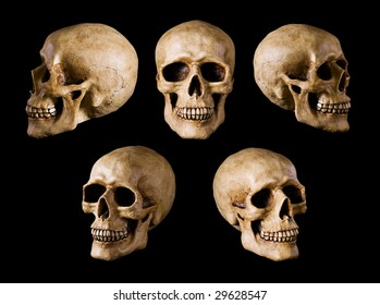 Skull Angles Images, Stock Photos & Vectors | Shutterstock