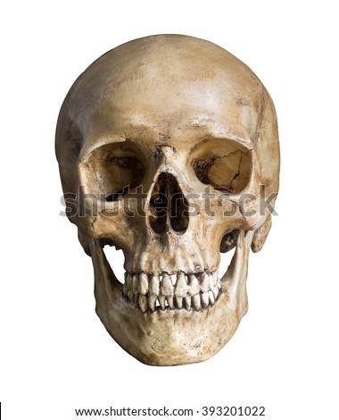 Human skull, isolated on white background with clipping path