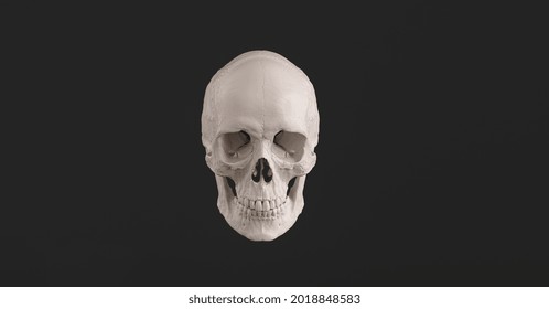 Human Skull And Jaw Bone Front View Pirate Poison Horror Symbol Halloween Medical. Anatomy And Medicine Concept Image.