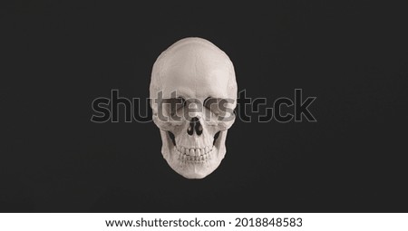 Human Skull and Jaw Bone front view Pirate Poison Horror Symbol Halloween Medical. Anatomy and medicine concept image.