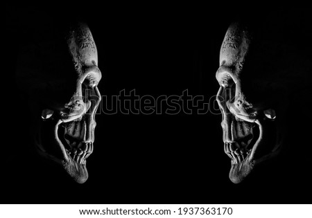 Human skull . light and shadow. empty copy space for inscription. side view. isolated on black background