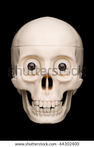 Similar – Image, Stock Photo Primate skull Primacy