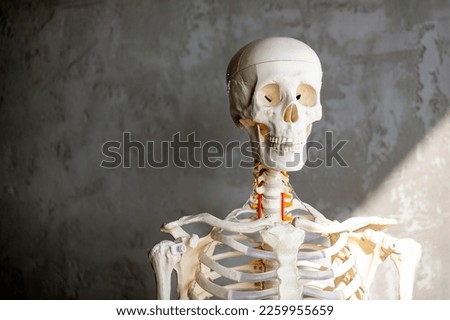 human skull with a skull medical illustration background