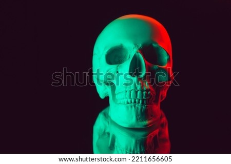 human skull with a mirror reflection with colored neon light on a black background