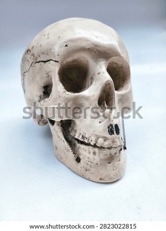 A human skull model is a highly precise three-dimensional educational anatomical replica, designed to help medical students, healthcare professionals, and biology students visually and thoroughly study the complex structure of the cranial bones, facial bones, and their articulations.