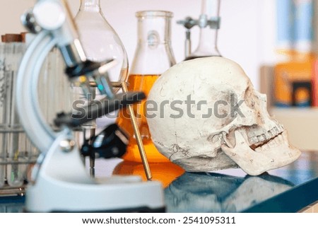 A human skull model, surrounded by scientific equipment, including glass flasks and a microscope. The clasroom is modern,  scientific atmosphere. Ideal for use in educational and  scientific contexts