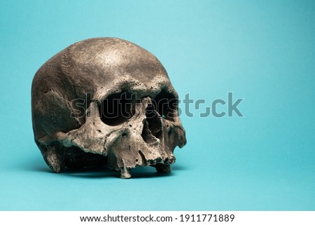 Human skull on blue background