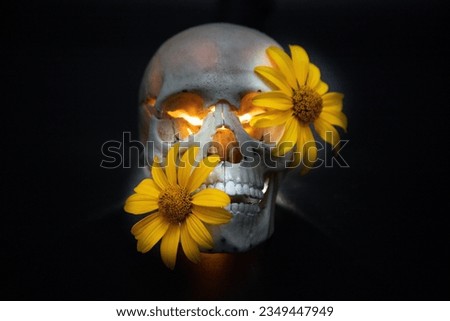 Human skull on a dark background decorated with yellow flowers. Occult concept. Dark and gloomy skull. Background for Halloween. Decorative skull model.
