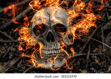 Human Skull On Fire In Forest Darkness Concept; Horror Halloween