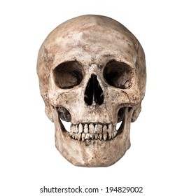 Human skull on isolated white background - Shutterstock ID 194829002