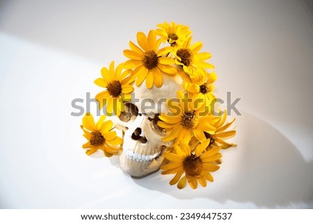 Human skull on a light background decorated with yellow flowers. Background for Halloween. Decorative skull model.
