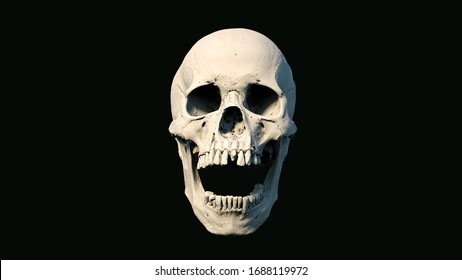 Human skull on Rich Colors a Black Isolated Background. The concept of death, horror. A symbol of spooky Halloween. - Shutterstock ID 1688119972