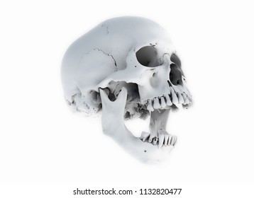 Human skull on White Background. The concept of death, horror. A symbol of spooky Halloween. 3d rendering illustration.Scan SCSU VizLab  https://www.thingiverse.com/scsuvizlab/about - (CC Attribution) - Shutterstock ID 1132820477