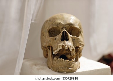 Human Skull With Open Mouth