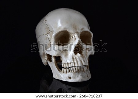 Human skull with reflection on black background
