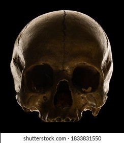 Human Skull In Rim Light