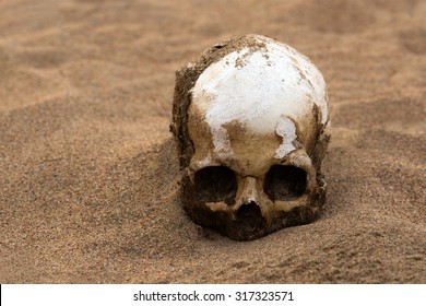 Human Skull In Sand