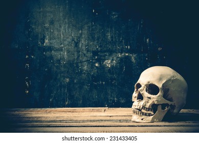 Human skull and science