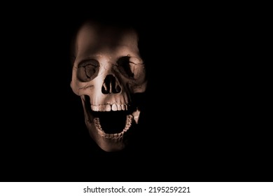 human skull in the shadow