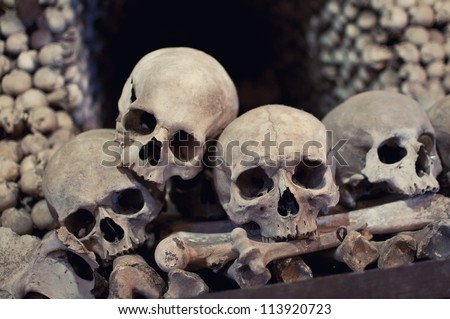 Human skulls and bones