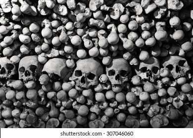human skulls Skulls and bones with shallow depth of field