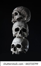 Human Skulls Stacked