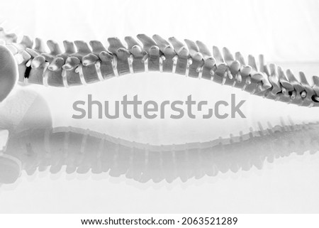 human spine reflected on glass