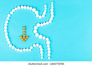 Human Stomach Made Pills Arrow Pointing Stock Photo 2204778785 ...