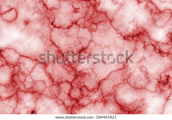 human veins, red blood\
vessels design.
