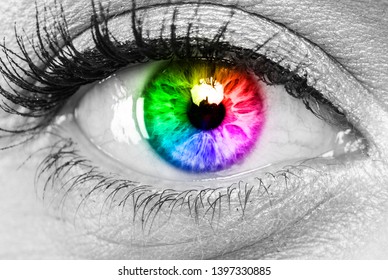 Human Vision Color Spectrum  Concept 