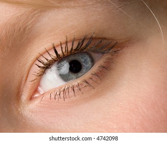 The Human Wide Open Blue Eye Macro