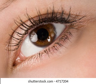 The Human Wide Open Brown Eye Macro