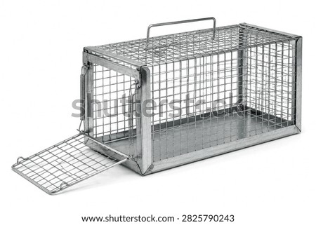 Humane live catch mouse cage trap with galvanized wire mesh and spring door for safe rodent removal isolated on white background.