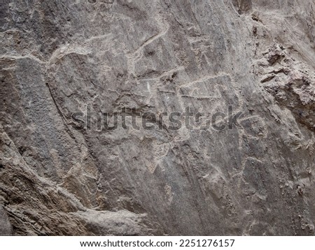 Humanoid figure carved in rock, huancor petroglyphs, Peru, South America	