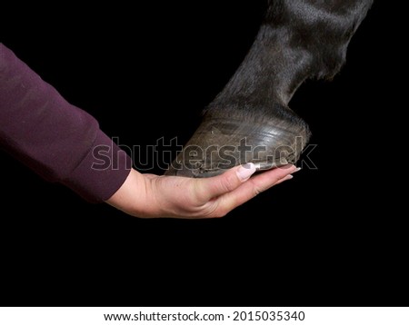 Human's hand and horse's hoove, isolated on black studio background.