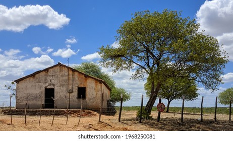 Humble House In The Brazilian Hinterland