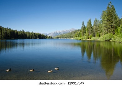 Hume Lake - California