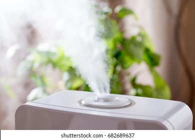 Humidifier in the house