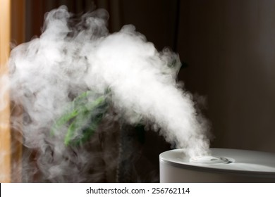 Humidifier spreading steam into the living room