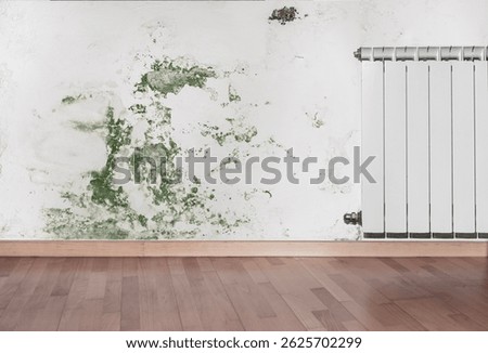 Humidity problem with green mold and damp stains spreading on a room wall.