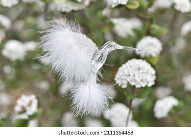 A Hummingbird Bird Collects Nectar In Spring