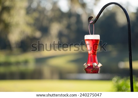 Hummingbird feeder without birds full of red nectar with bees on the bottom handing from a metal pole stand holder