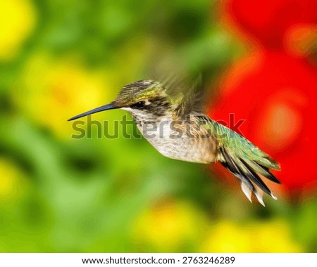 Hummingbird hovering in flight with rapidly beating wings, feeding among colorful flowers. Close-up wildlife photograph showing motion and vibrant garden background.
