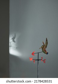 Hummingbird Wind Vane Or Weather Vane With Shadow As Background. Concept For Pointing Life Direction. Choice Concept.