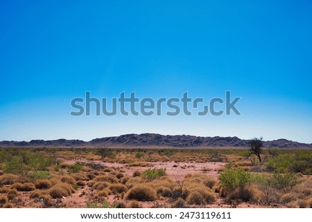 Hummock grassland (spinifex) with low shrubs covers the plain at the foot of the the Parry Range, Pilbara, Ashburton Shire, in the remote outback of Western Australia

